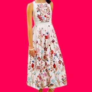 Anthropologie Eularia Maxi Dress, size 6, NWOT